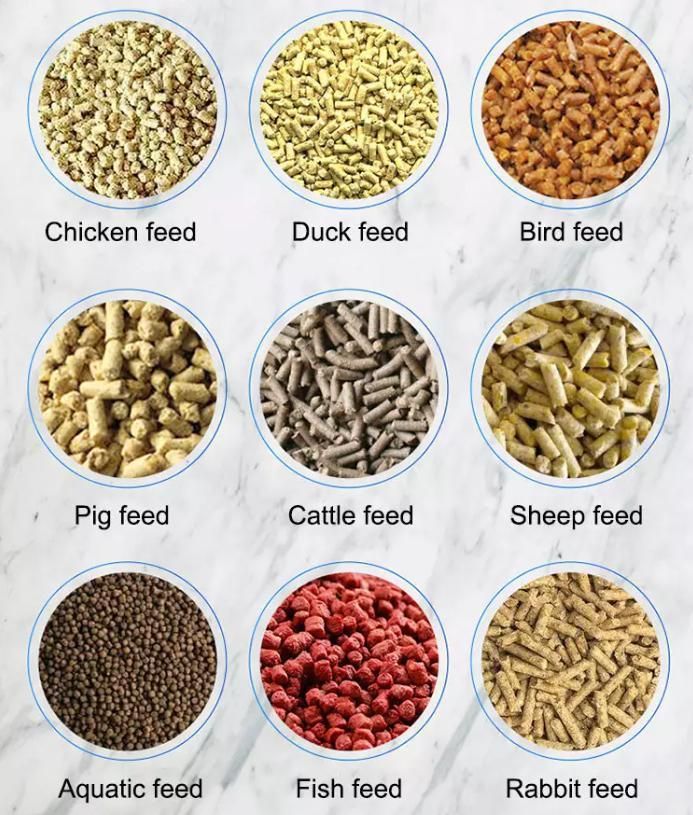Animal Poultry Fish Feed Pellet Making Machine
