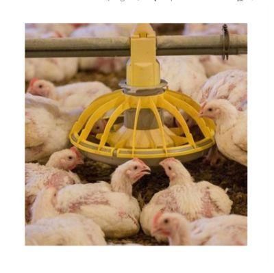U-Best Factory Automatic Poultry Equipment for Broiler Chicken