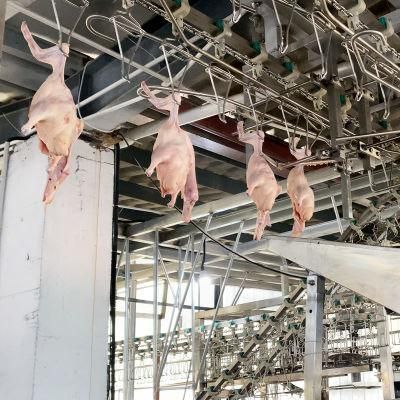 3000bph Butchery Poultry Abattoir Equipment Slaughterhouse