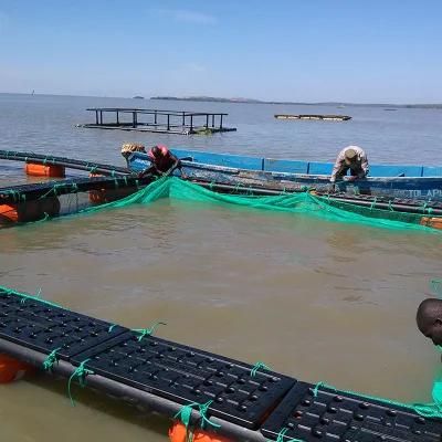 Fish Farming Aquaculture Cage Trap for Commercial Fish