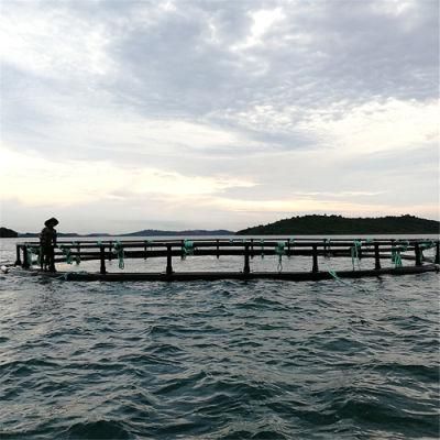 Storm Resistant Deep Sea Floating Fish Net Cage