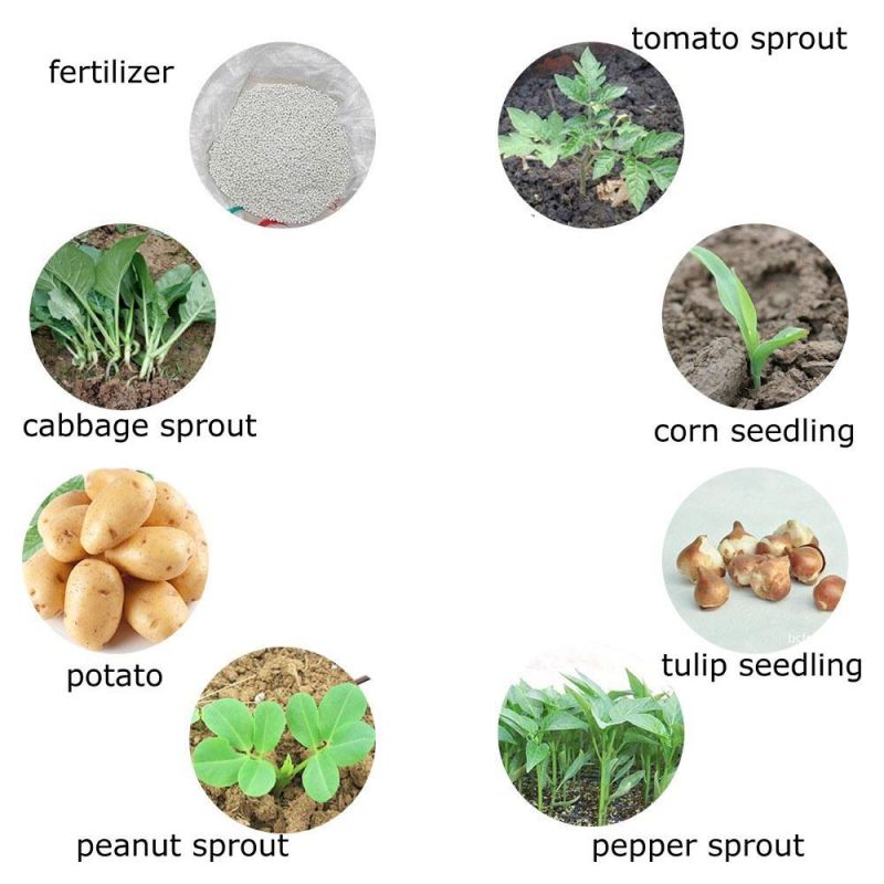 Seeding Tool Handheld Transplanter Stainless Steel Planter Machine, Seedling Machine Seeder Vegetable Seed Planter