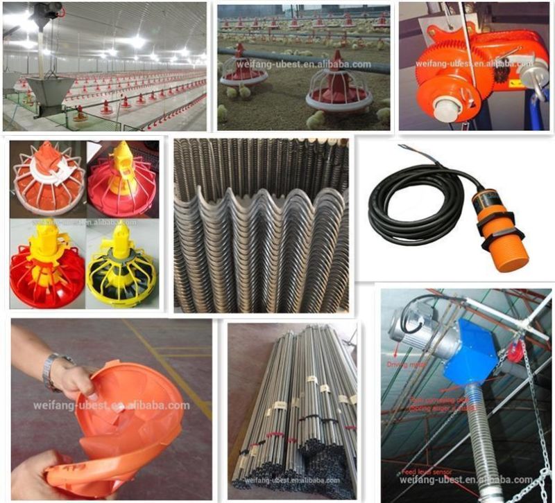 Poultry Farm Structures Chicken Farms Broiler House Equipments