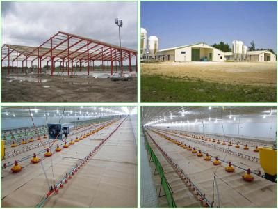 Galvanized Feed Silo for Layer Farm