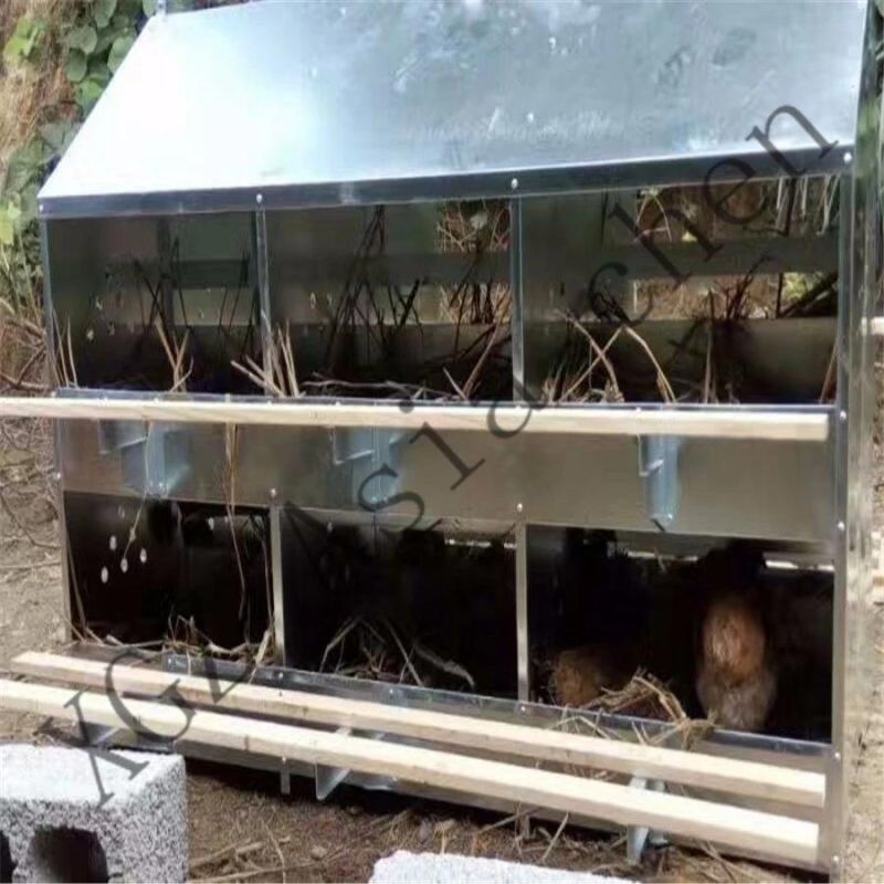Broiler Breeder Chicken Farm Automatic Egg Laying Nest with Belt and Motor