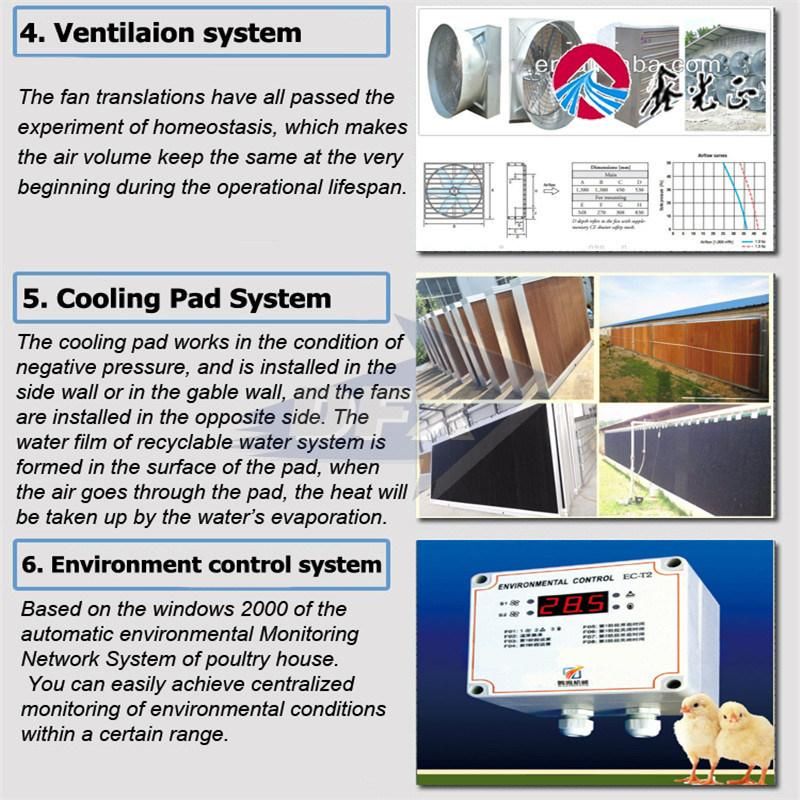 Best Design /Automatic Layer Poultry House Low Cost