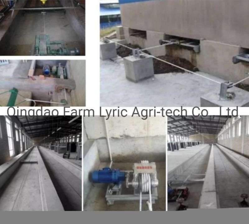 Animal Husbandry Equipment Manure Cleaning System/Poultry Manure Scraper