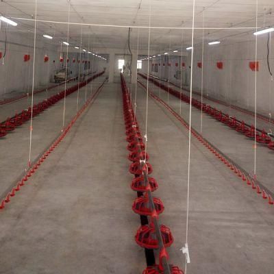 Poultry Farm Equipment Automatic Chicken Feeding Feeder and Drinker Feeding System Line