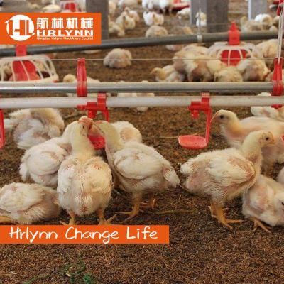 Automatic Poultry Nipple Drinkers for Poultry Farming Equipment