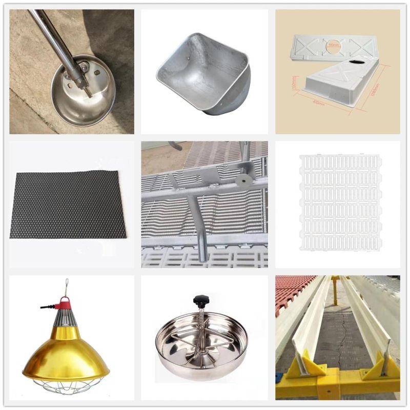 Made in China Pig Farming Equipment Pig Stores