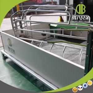 Pig Farm Design Farrowing Crate Pig Breeding Equipment for Poultry Farm