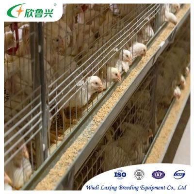 Fully Automatic Broiler Poultry Farm Equipment Battery Broiler Chicken Cages System