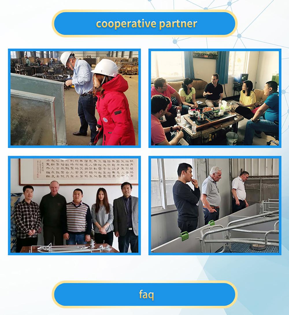 Hot Sale Cow/Cattle/Sheep/Horse Corral Livestock Galvanized Fence