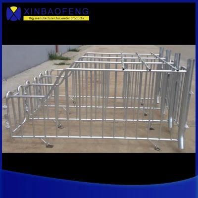 Hot DIP Galvanized Pipe Pig Farrowing Equipment Pig Stall for Sale