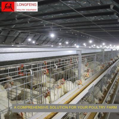 Easy Cleaning Durable and Sturdy Longfeng House Broiler Chicken Cage