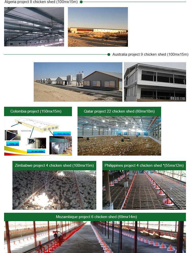 Steel Structure Agriculture Poultry Farm Chicken Feeder and Drinker