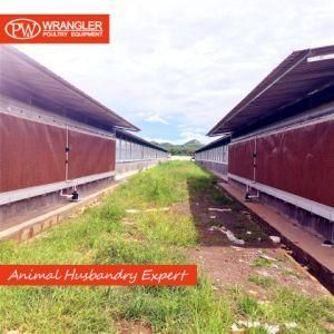 Complete Poultry Auto Equipment for Broiler / Breeder