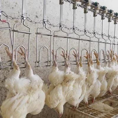 Poultry Broiler Chicken Duck Goose Processing Slaughtering Equipment