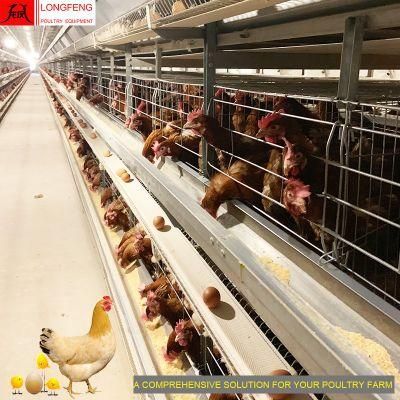 Comprehensive Solution for Farm Automatic Chicken Cage Farms Poultry Farming Equipment