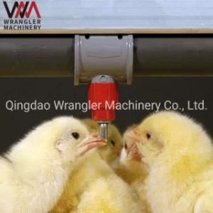 Cheap Sale Poultry Water Nipple Drinker for Chicken and Duck