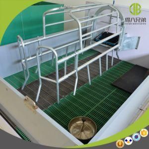 Very Popular with Pig Farming Equipment Resversible Farrowing Crate