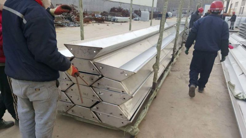 Stainless Steel Full Length Pig Trough