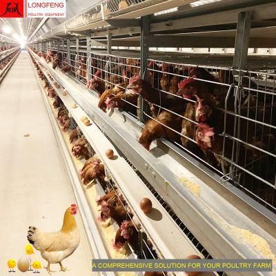 Automatic Chicken Cage Longfeng China Farm Layer Cages Farms Poultry Farming Equipment