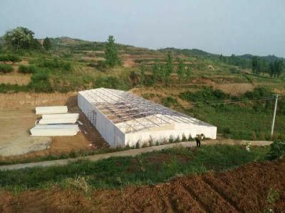 Low Cost Steel Frame Structure Prefab Chicken Coop House in Poultry Farms