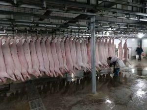 3kw Efficiency Automatic Pig Washing Machine Slaughtering Equipment