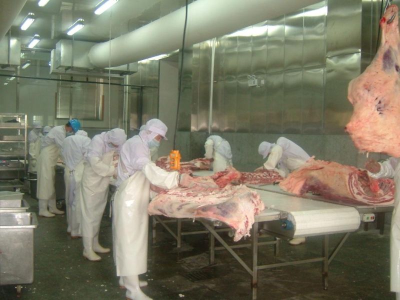 Automatic Sheep/Pig/Poultry/Cow Meat Processing PVC Cut Meat Conveyor Slaughtering Machine