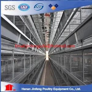 H-Type Chicken Cage Poultry Farm Equipment for Layer Chicken