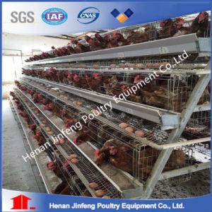 Trade Assurance Automatic Galvanized Layer Chicken Battery Cage