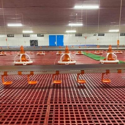 Automatic Broiler Feeding System Floor Feeding System for Broiler Chicken Farm House Ground Poultry Feed Equipment