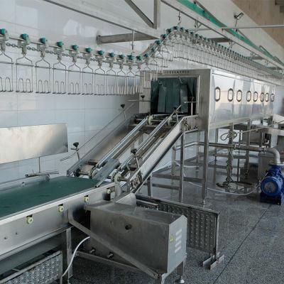 Crates Hanging Chain Conveyor with Belt Type for Poultry Processing Plant and Slaughterhouse