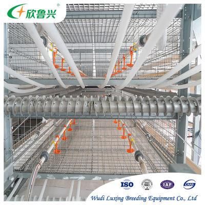 Pullets and Broilers Growing Cage Poultry Farm Equipment