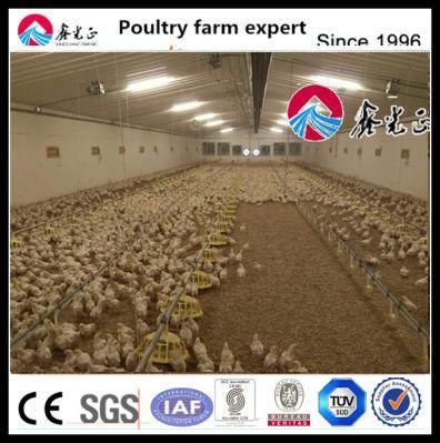 Wholesale Automatic Poultry Feeding System for Broiler in Chicken Farm