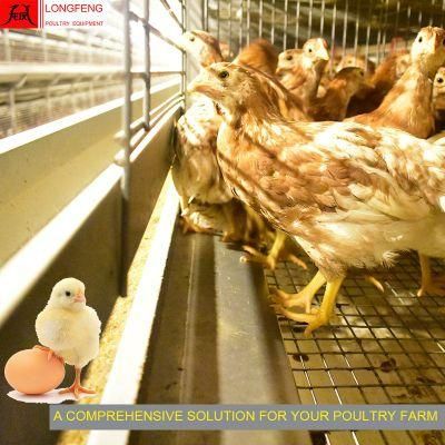 Computerized Mature Design Nipple Drinker for Chickens Pullet Layer Chicken Cage