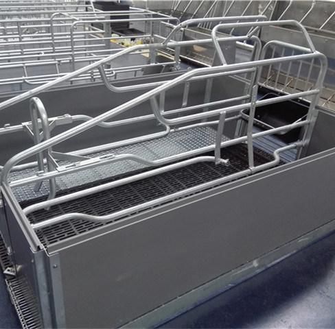 Farming Equipment Pig Sow Farrowing Pen Crate Gestation Box for Sale