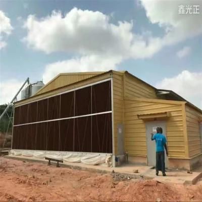High Output High Quality Self Manufactured Full-Automatic Layer Feed System