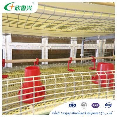 Automatic Chicken Layer Farming Equipment Egg Laying Hen Chicken Cage Poultry Equipment