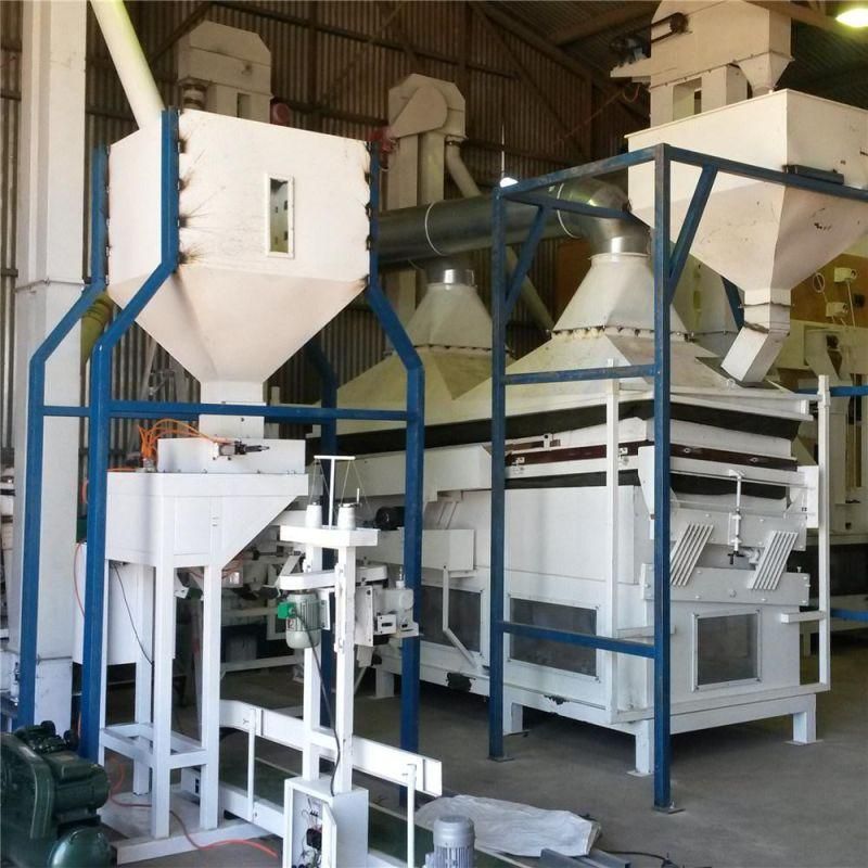 Paddy Seed Cleaning Plant Cleaning Line