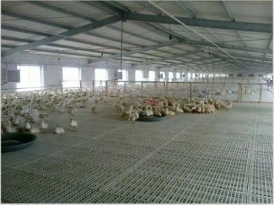 Chicken House Plastic Slat Floor for Broiler Farm
