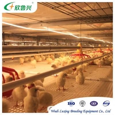 Poultry Farming Equipment Automatic Chicken Feeding Pan System Broiler Breeder Raising Line System