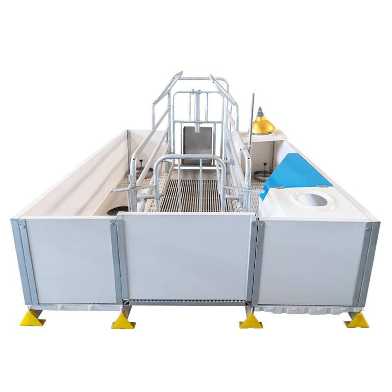 Galvanized Steel Pipe Piggery Cages Pig Farm Equipment for Sale