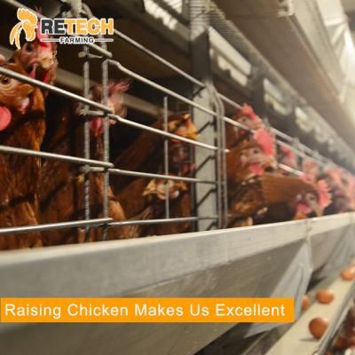 Easy Cleaning Automatic Layer Poultry Chicken Battery cage