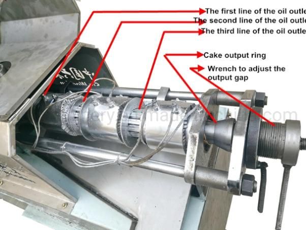 60kg/h Stainless steel oil pressers screw oil press machine