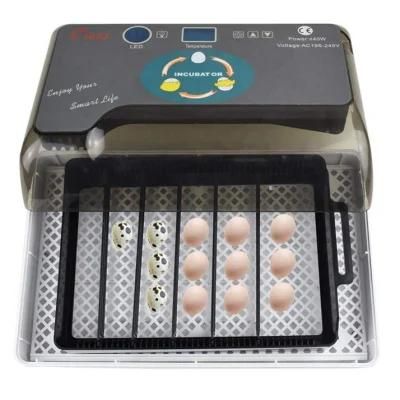 Mini 12 Chicken Incubator Egg Manufacturers Fertile Parrot Egg Incubators Hatching Machine for Sale