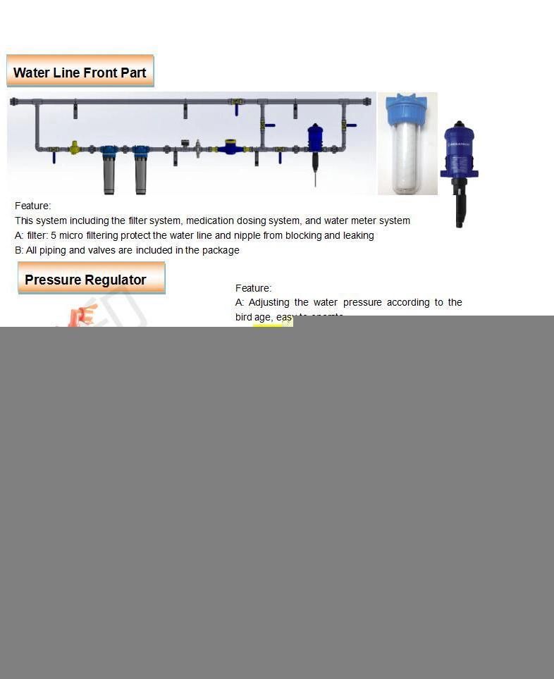New Multi-Function Poultry Farm Automatic Flat Raising Equipment