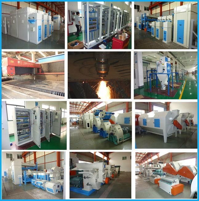 Turnkey Feed Equipment Cattle Fodder Processing Plant