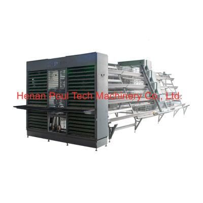 Automatic Poultry Farming Cage a Type Battery Layer Chicken Cage